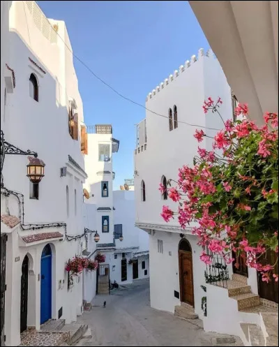 De quel pays actuel est orginaire Ibn Battuta ?