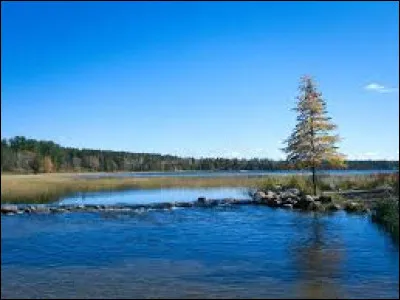 Quel cours d'eau prend sa source au du lac Itasca et traverse l'Etat ?