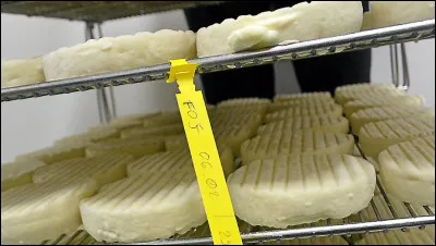 Quel est ce fromage au lait de brebis, &agrave; p&acirc;te molle et cro&ucirc;te fleurie de 150g originaire de l'Aveyron ?