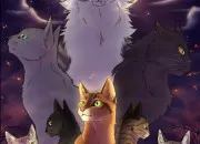 Test Quel serait ton r�le dans LGDC ?