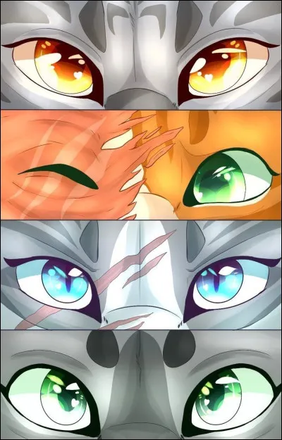 Quel lieu pr&eacute;f&egrave;res-tu ? (1)