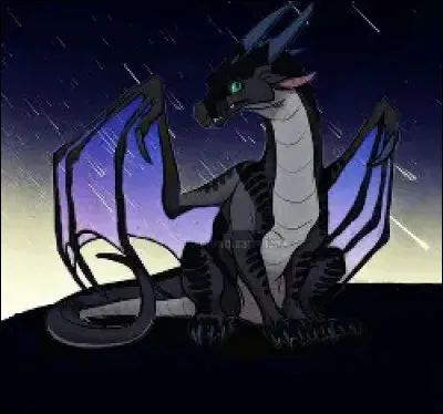 Qui est amoureux(se) d'un(e) Aile de Nuit ?