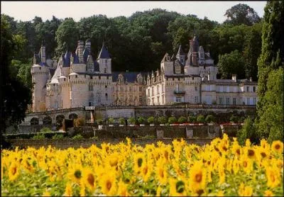 Comment s'appelle le chteau de la Belle au Bois Dormant ?