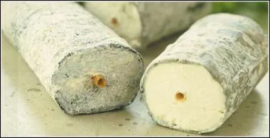 Quelle ville est clbre pour son fromage de chvre ?