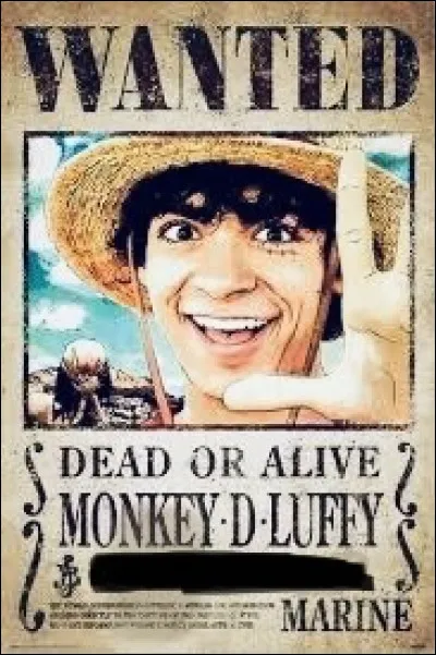 Compl&egrave;te : Wanted poster...