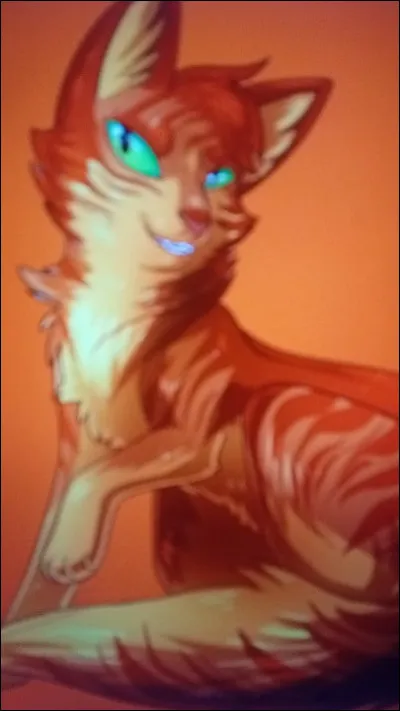 &Agrave; quel clan appartient &Eacute;toile de Feu ?