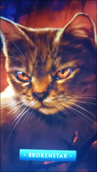 Et lui, &agrave; quel clan a-t-il appartenu, ce matou f&eacute;roce et sanguinaire ayant chass&eacute; le Clan du Vent de ses terres, jadis ?