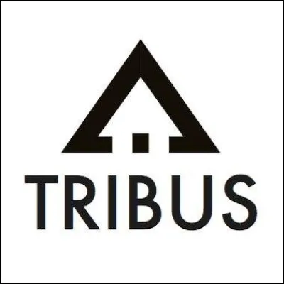 Les Apaches sont des tribus...