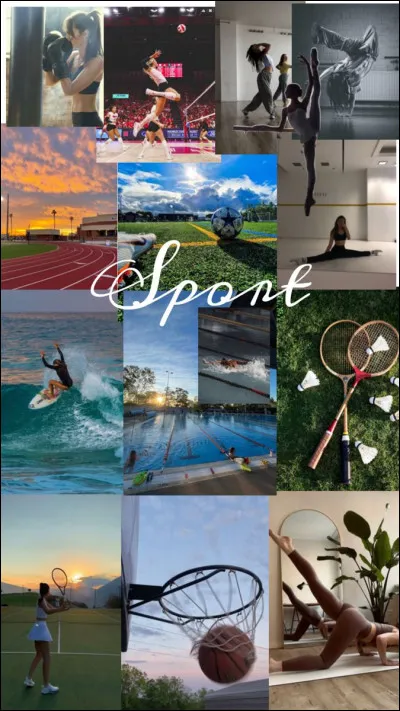 Quel sport est tr&egrave;s suivi en France ?