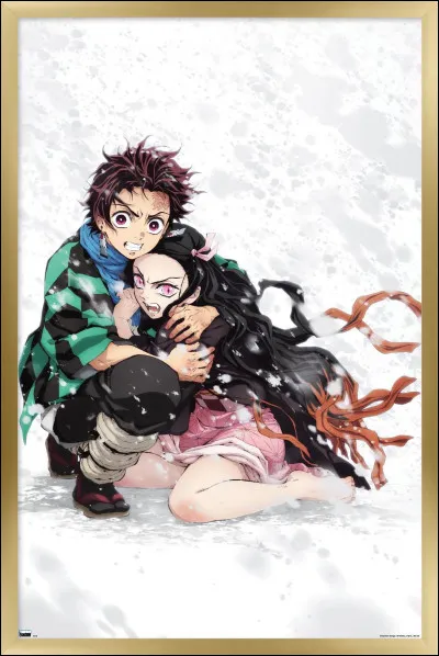 Comment consid&egrave;res-tu Tanjiro Kamado ?