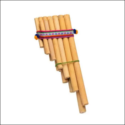 De quel instrument de musique s'agit-il ?