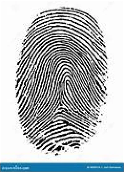 Qu'est-ce qu'une "empreinte num&eacute;rique" ?