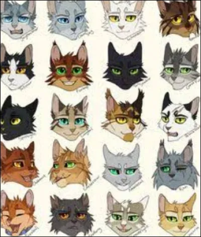 Quel est ton grade ?