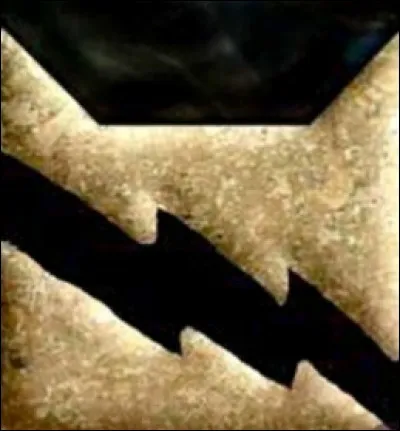 Aimes-tu le Clan du Tonnerre ?