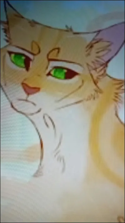 Puis cette jolie chatte du nom de Temp&ecirc;te de Sable, quels grade a-t-elle eu ?