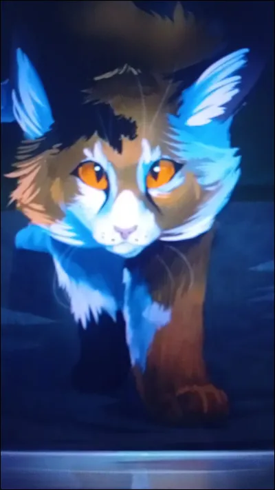 Quels ont &eacute;t&eacute; les grades de cette f&eacute;line sanguinaire du nom d'Ombre d'&Eacute;rable ?