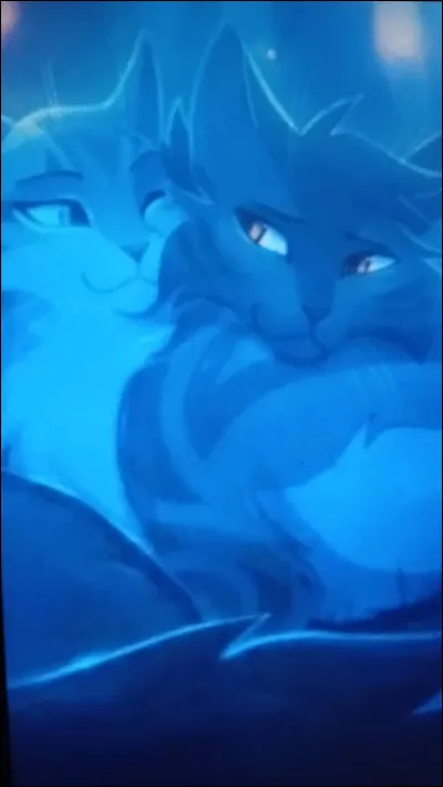 Ces 2 matous, quels sont leur grade &agrave; pr&eacute;sent ?