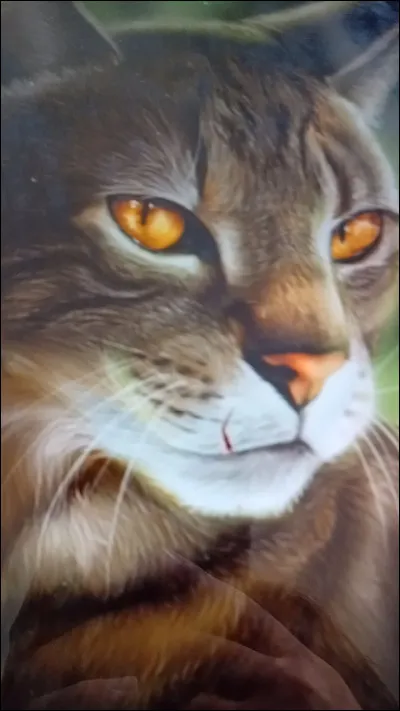 Griffe de Ronce, quel &eacute;taient ces grades &agrave; lui ?