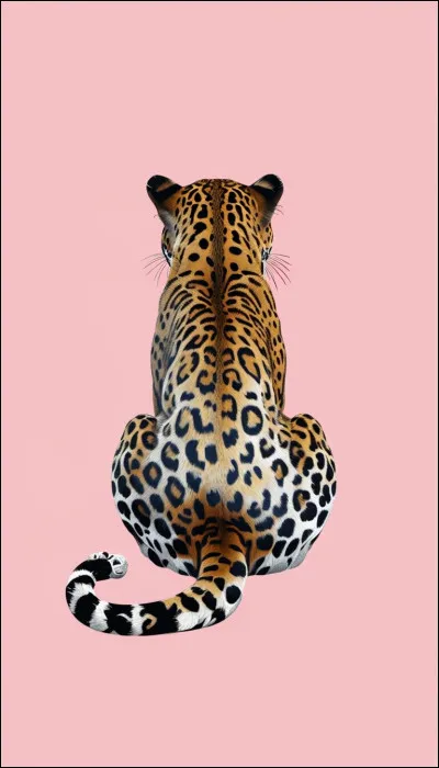 Quel est ton animal totem ?