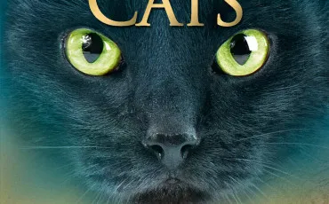 Quiz Test de personnalit�