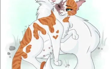 Quiz Litt�rature, po�sie