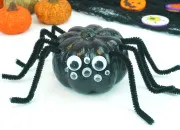 Test Quelle araign�e es-tu ?