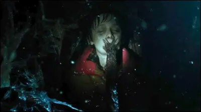 Quel jour a &eacute;t&eacute; enlev&eacute; Will par le D&eacute;mogorgon ?