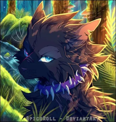 Top 1 : c'est un petit minet sanguinaire au pelage noir&acirc;tre et au collier violet orn&eacute; de crocs de chiens et de chats. Il &eacute;tait aussi le chef du Clan du Sang.