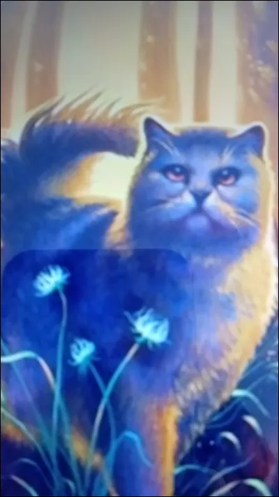 Top 7 : c'&eacute;tait une gu&eacute;risseuse formidable du Clan du Tonnerre et jadis du Clan de l'Ombre malgr&eacute; son air grincheux elle &eacute;tait toujours l&agrave; pour ses camarades.