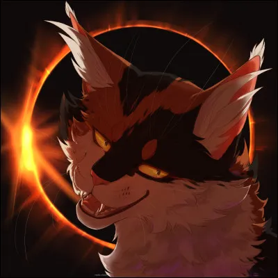 Top 9 : c'est un matou froid et manipulateur ne croyant pas au Clan des &Eacute;toiles et connaissant tr&egrave;s bien Minuit. Il a litt&eacute;ralement dissuad&eacute; les quatre clans de ne plus croire au Clan des &Eacute;toiles.