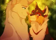 Quiz Les couples LGDC