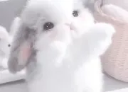 Test Test MBTI � D�couvre ton type de personnalit�