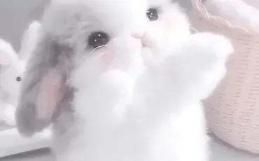 Quiz Test de personnalit�