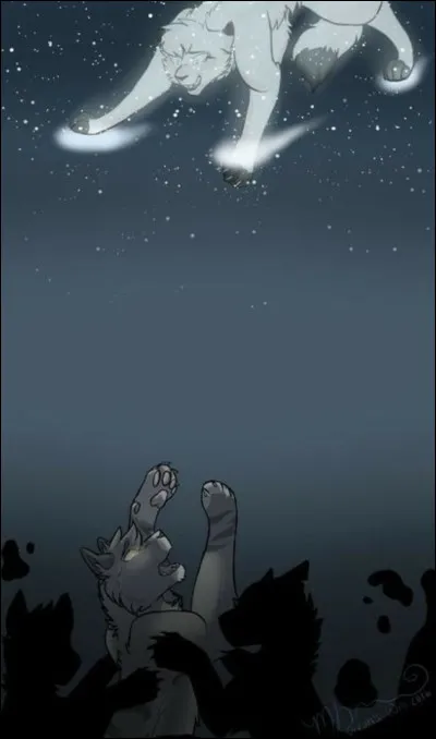 On finit en beaut&eacute; avec celui-l&agrave; !