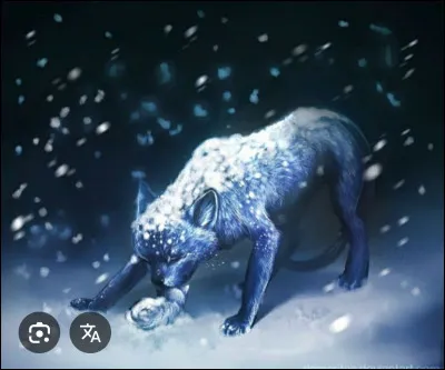 Quelle sc&egrave;ne figure sur cette belle image ?