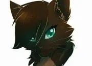 Quiz De quel clan est ce chat ?