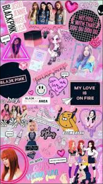 Et derni&egrave;re question, aimes-tu Blackpink ?