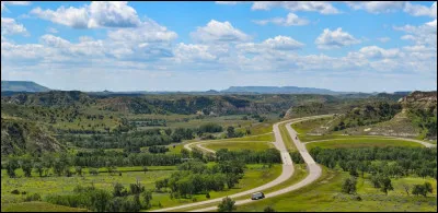 Trump a recueilli 67,5 % dans cet &Eacute;tat peu peupl&eacute; du nord du pays, qui n'a &eacute;lu que des gouverneurs r&eacute;publicains depuis 1992, et dont Doug Burgum l'actuel secr&eacute;taire &agrave; l'Int&eacute;rieur des &Eacute;tats-Unis a &eacute;t&eacute; gouverneur de 2016 &agrave; 2024 :