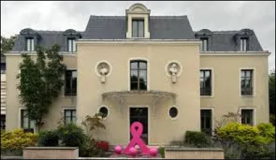 Ville de l'arrondissement de Melun, Combs-la-Ville se situe dans le d&eacute;partement ...