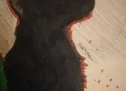 Test �toile de Feu ou �toile Bleue ?