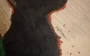 Quiz Test de personnalit�