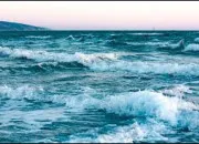 Quiz Affirmations : vraies ou fausses ? (2)