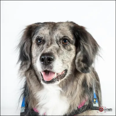 Es-tu souvent d&eacute;&ccedil;u ?