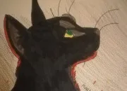 Test Feuille de lis ou Aile de Colombe ?