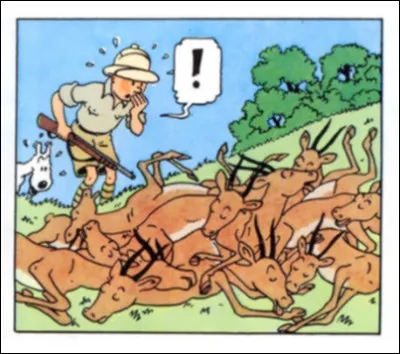 D&eacute;fense d'y voir une apologie de la chasse : on cherche juste un titre !