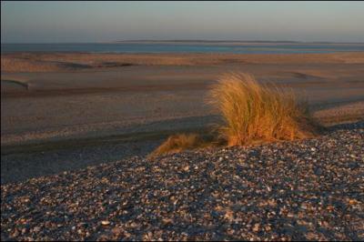 La baie de Somme est un paysage exceptionnel se trouvant sur quel type d'embouchure ?