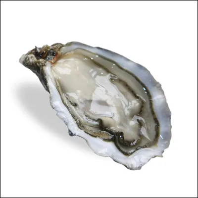 Quel est le nom de ce fruit de mer ?