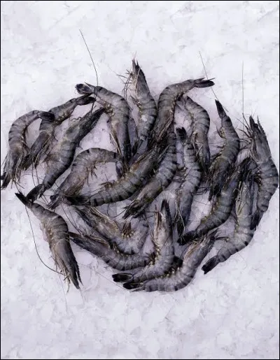 Que sont ces fruits de mer ?