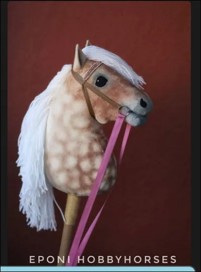 Est-ce qu'il y a des gar&ccedil;ons qui pratiquent ce sport ?