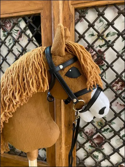 Cela existe depuis...